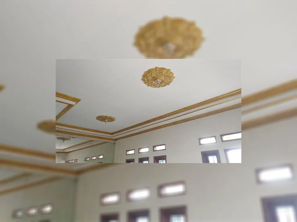 WhatsApp Image 2022-11-25 at 10.33.54.jpeg